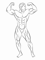 silhouette of bodybuilder , vector drawing
