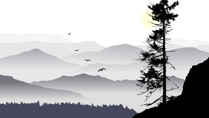 The mountain view with flying birds during a sunrise