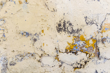 Obraz premium alte Mauer