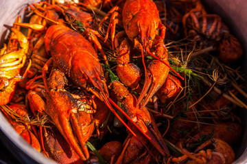 crayfish for beer, boiled crustaceans, crayfish, beer snacks, go