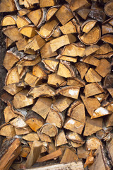 Firewood stacked in a woodpile