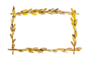 The frame of willow branches.