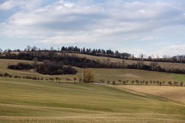 Fototapeta na wymiar Fields in countryside