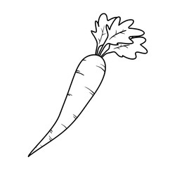 Carrot Doodle, a hand drawn vector doodle illustration of a fresh carrot.