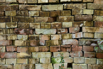 Gradient Beige brick wall. Texture