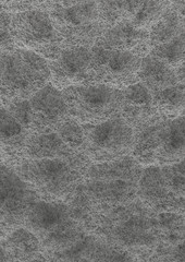 Complex, highly detailed texture pattern.