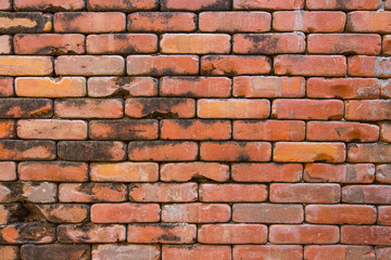 Fototapeta premium White grunge brick wall for background 
