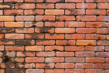 White grunge brick wall for background 