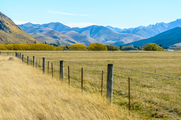 Fototapeta na wymiar Landscape of New Zealand