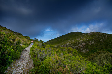 Capraia Island, Arcipelago Toscano National Park, Tuscany, Italy