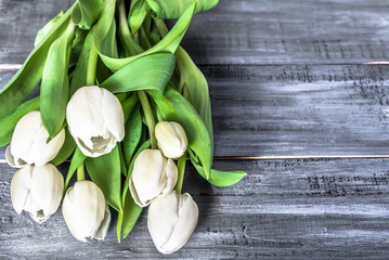 White tulips flowers selected on wooden background