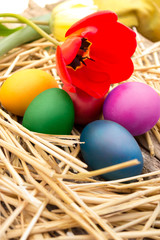 Easter eggs with flower