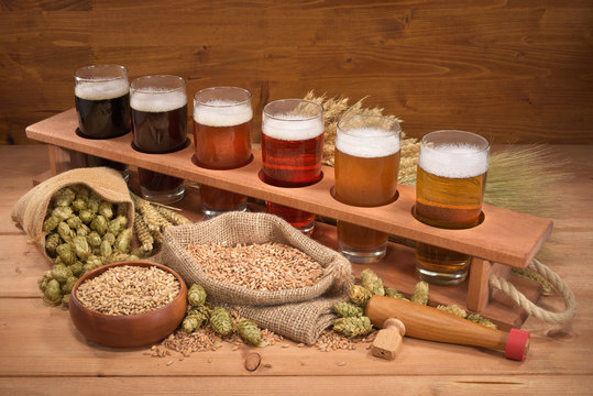 Biertr&auml;ger mit Biergl&auml;sern
