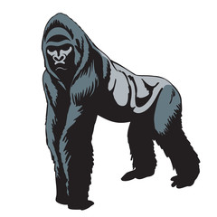 
Silverback gorilla silhouette
