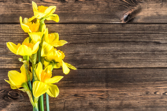 Daffodils flowers on wooden background with copy space
