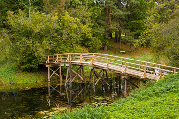 Bridge in the forest