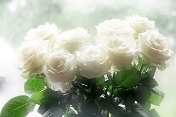 Bouquet of white roses