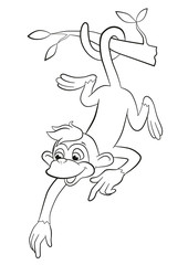Coloring pages. Monkey in hanging on the tree branch.