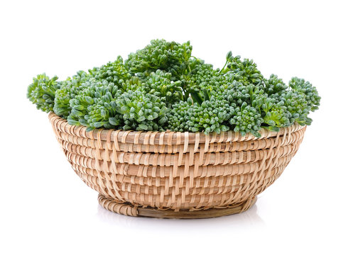 Broccoli in the basket