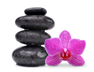 Water drops on black spa stones with orchid flower isolated on white background