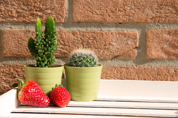 spring is coming: strawberries and green succulent plants on a white wooden tray - brick wall background