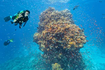 Crédence de cuisine en verre imprimé Plonger Un plongeur sous-marin explore un récif de corail montrant un signe ok