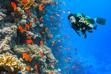 Foto op Aluminium Duiken Scuba-duiker verken een koraalrif met een goed teken