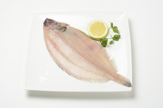 Lenguado crudo