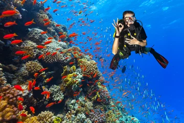 Peel and stick wall murals Diving Scuba diver explore a coral reef showing ok sign
