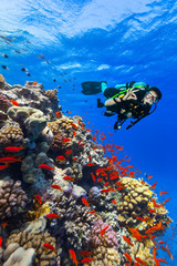 Fototapeta na wymiar Scuba diver explore a coral reef showing ok sign