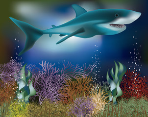Fototapeta premium Underwater wallpaper with Shark, vector illustration