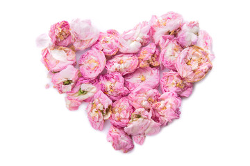 Fototapeta premium Dried rose buds forming heart