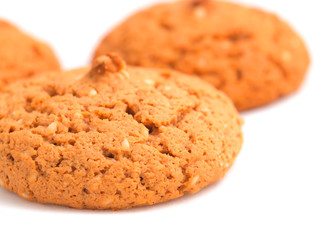 Macro oatmeal cookies isolated on white.