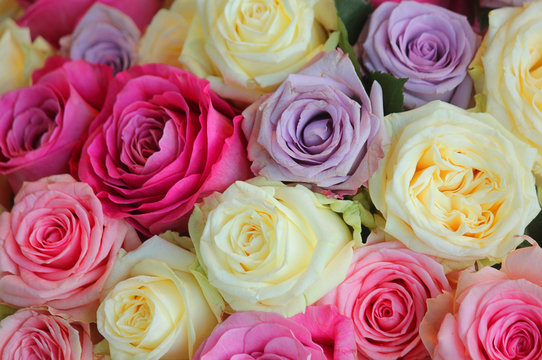 bouquet of roses of different colours