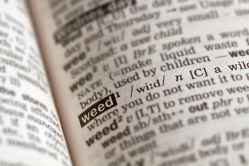 Weed Word Definition Text