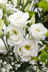 Close up of white roses