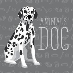 Vector Dogs Collection - obrazy, fototapety, plakaty
