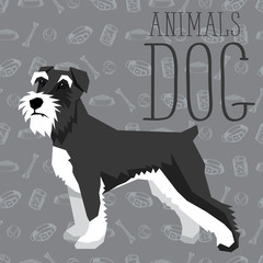 Vector Dogs Collection - obrazy, fototapety, plakaty