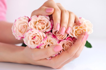 Hands of a woman with pink roses against white background