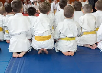 Abwaschbare Fototapete Kampfkunst Kinder im Kimono sitzen auf Tatami auf einem Kampfkunstseminar. Selektiver Fokus