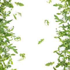 Fresh arugula leaves.