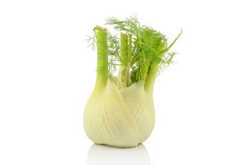 Single  isolated fennel
