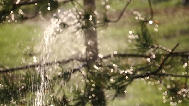 water springler