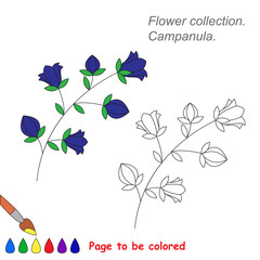 Campanula in vector cartoon to be colored.
