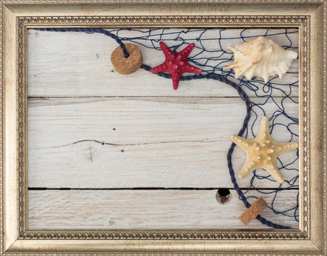 frame for picture with seashells and marine network