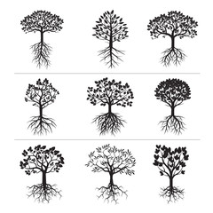 Obraz premium Set of Black Trees and Roots