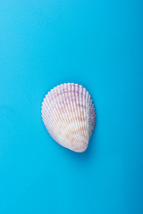 Summer sea vacation mockup background. Notebook blank page with Travel items on blue table. Sea shells, pebbles, top view.