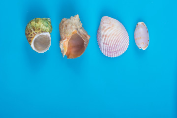 Summer sea vacation mockup background. Notebook blank page with Travel items on blue table. Sea shells, pebbles, top view.