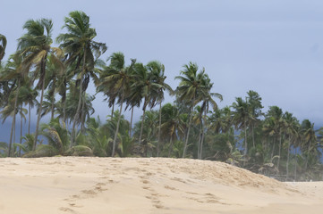 Tropical storm at the Azuretti beach in Grand Bassam, Ivory Coast, Africa