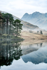 Tranquil spring morning at Blea Tarn with lingering mist and reflections of mountains and tree's in...
